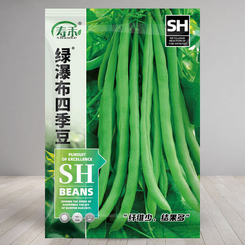 寿禾绿瀑布四季豆种子