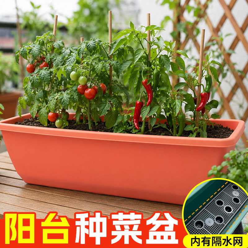 长方形种菜盆家庭阳台种植盆蔬菜花卉草莓专用塑料加厚带托盘一体