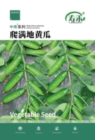 Темно -фиолетовая скалолаза