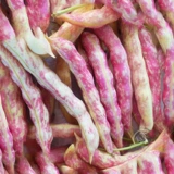 Семена северо-восточной красной фасоли с золотым крючком, чечевица из семенной канавы, фасоль красная, красная фасоль, энциклопедия бобов с золотым крючком Four Seasons