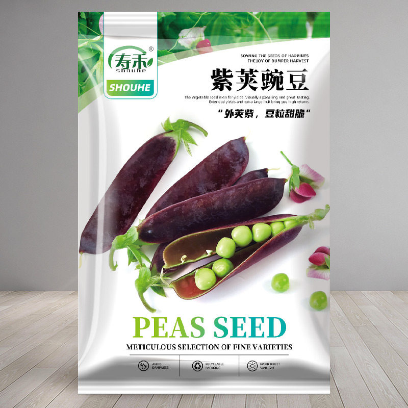 紫荚豌豆种子甜脆豌豆种籽苗种碗豆孑种碗豆四季寿光种籽甜豆种籽