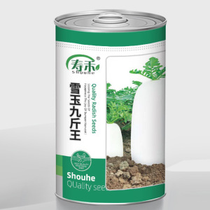 雪玉九斤王萝卜种子特大白皮水果罗卜种籽秋冬季四季蔬菜孑子籽种