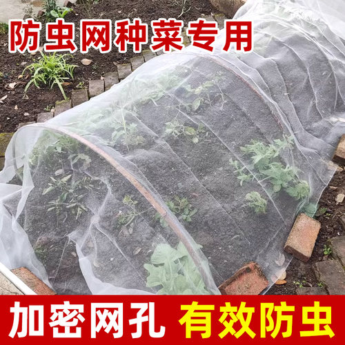 寿光种菜防虫网60目支架大棚专用罩菜地果树防虫纱网蔬菜花卉网罩
