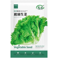 Zhongshou® Стеклянный салат 5 г/сумка