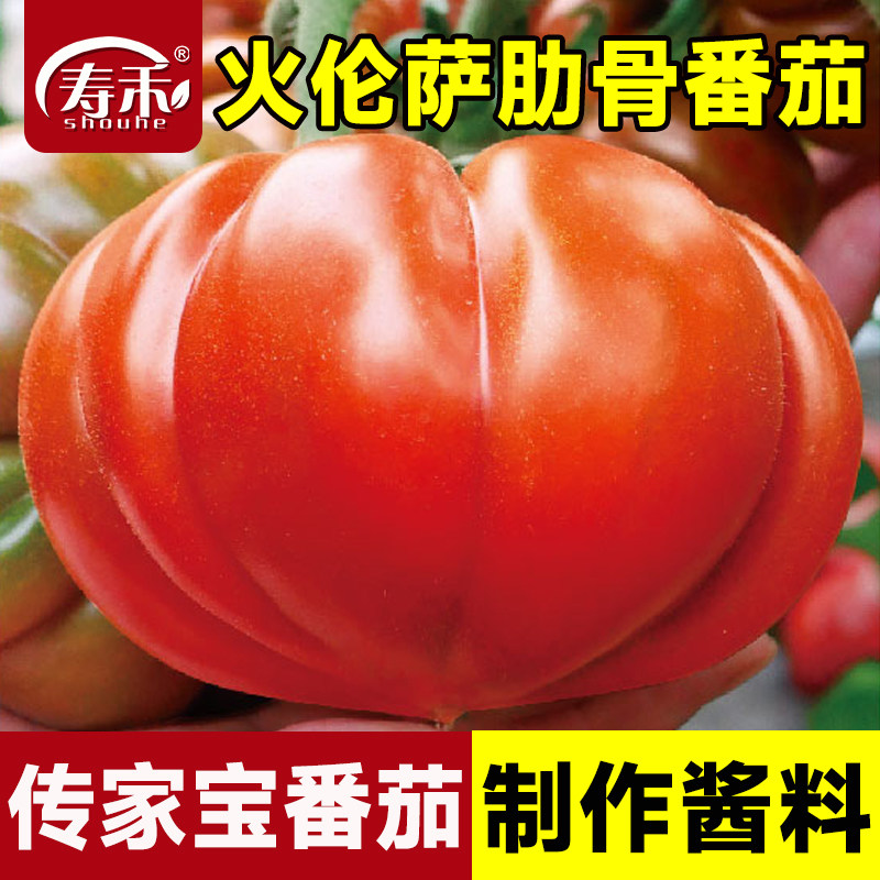 传家宝番茄种子火伦萨肋骨盆栽阳台庭院老品种种籽孑蔬菜大西红柿