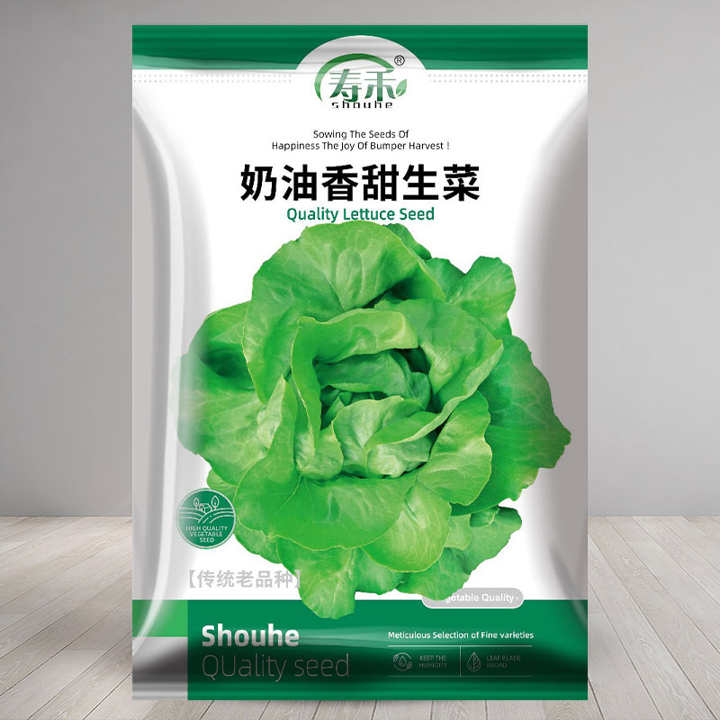 奶油生菜种子种籽四季沙拉小白菜冬季菜籽盆栽蔬菜孑菜种春季籽种