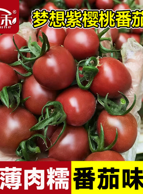 梦想紫樱桃番茄苗西红柿种籽四季蔬菜高端孑苗秧黄色水果圣女果