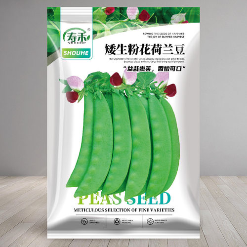 四季寿禾矮生粉花荷兰豆种子