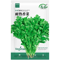 Исправленное семя кориандра 10 г/сумка