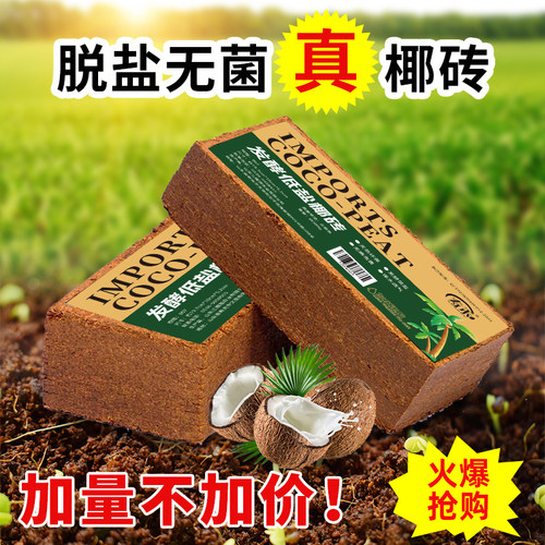 椰砖营养土阳台种菜脱盐650g基质