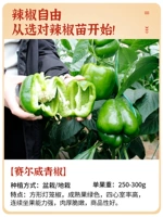 6 саженцев зеленого сладкого перца