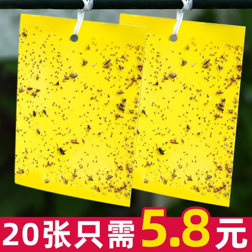 家用黄色粘虫板双面强力