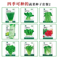 Пакет овощных семян Four Seasons 2