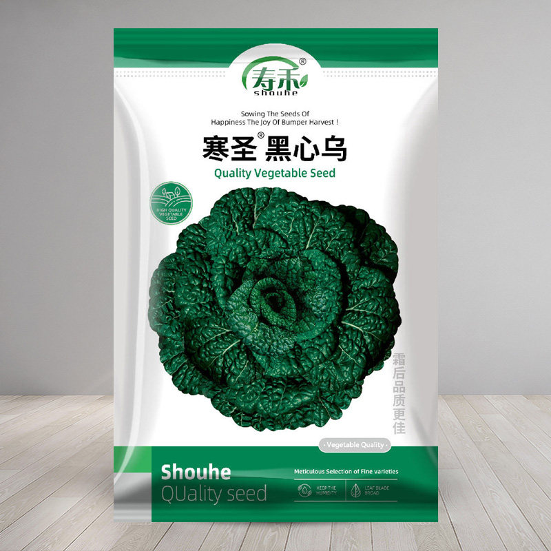 黑心乌种子乌塌菜 菜种籽乌塔菜 蔬菜种孑耐寒秋季四季播菜种盆栽