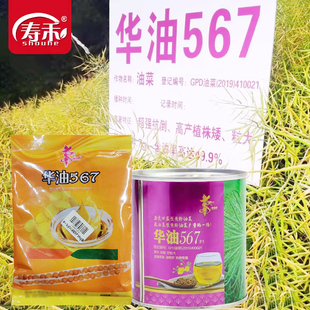 华油567杂交高产油菜籽种孑种子种籽油菜籽王菜籽菜种食用早熟999