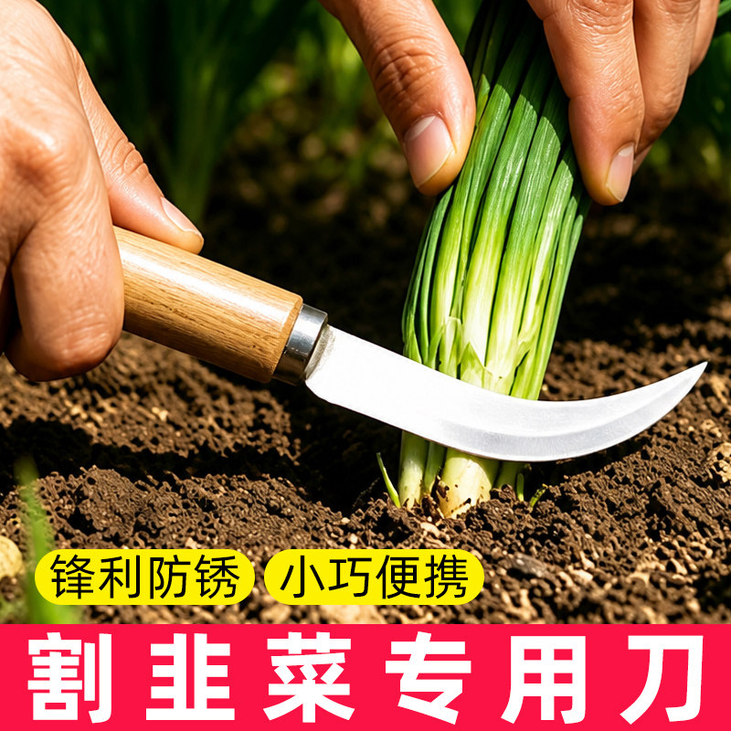 割韭菜专用刀种菜工具图片