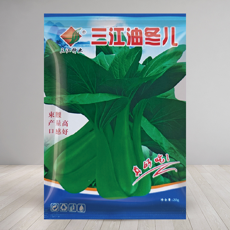 杭州油冬儿种子蔬菜四季