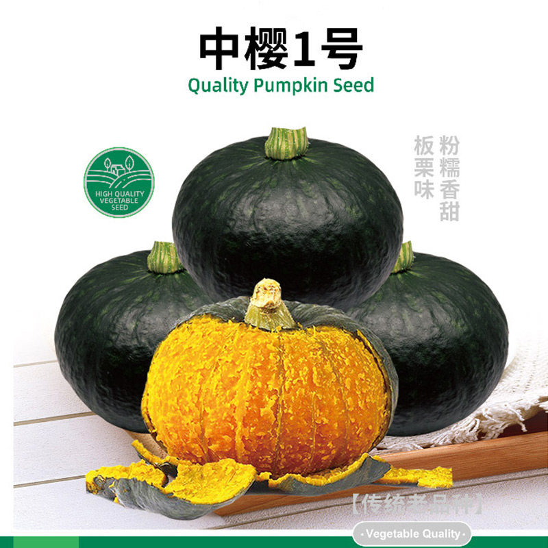 中樱绿贝贝小南瓜种子苗板栗味秧种籽孑秧苗蔬菜菜苗又甜又面的