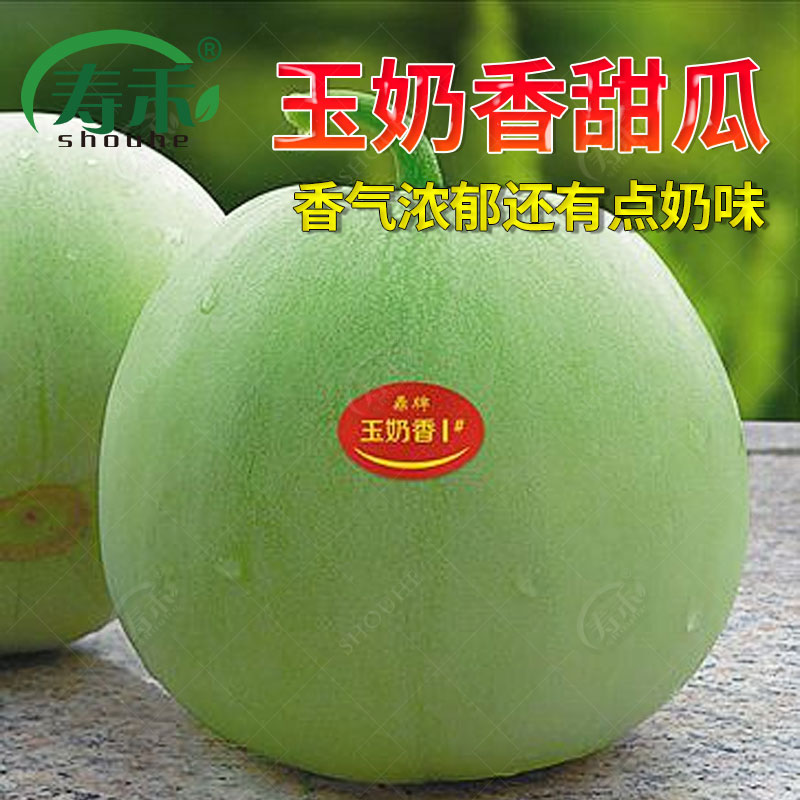 鼎牌 玉奶香薄皮甜瓜种子 浓香188绿皮香瓜 香甜浓郁带奶香味瓜果