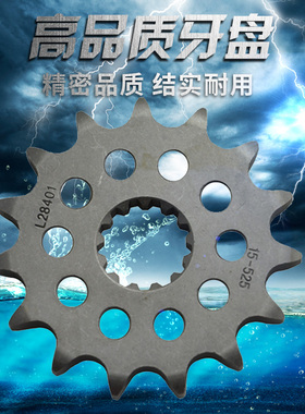 适用TDM850卡吉瓦Cagiva650 凯旋Triumph 675 800小链轮小齿525链