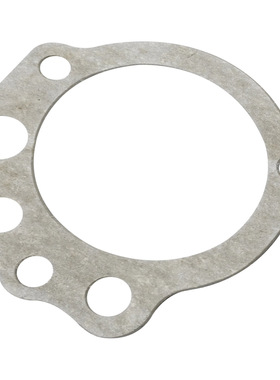 适用YAMAHA XTZ660 Tenere SZR600 XT600E机油泵垫3SX-13329-00