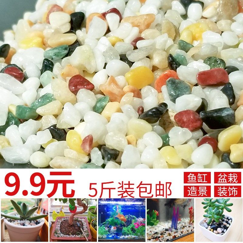 天然彩石多肉花盆铺面石花石头雨花石七彩色石子盆栽装饰鱼缸造景|ruв категории доставка цветов/цветок моделирования/растения садоводства, садовых принадлежностей, других садовых принадлежностей - от Buy2taobao.com для оказания профессиональной услуги покупки агента Taobao