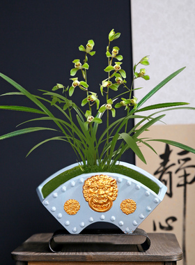中国风蝴蝶兰专用盆兰花花盆