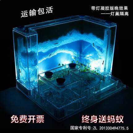 正品蚂蚁工坊蚁后宫殿学生观察蚂蚁城堡家园别墅宠物双层无毒蚁巢