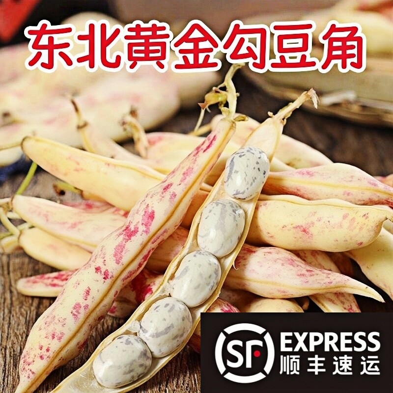 东北特产勾勾黄豆角黄金钩油豆角图片