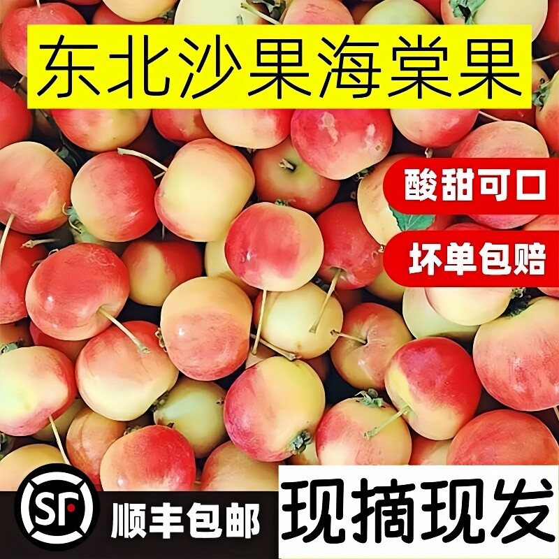东北特产沙果海棠果新鲜酸甜