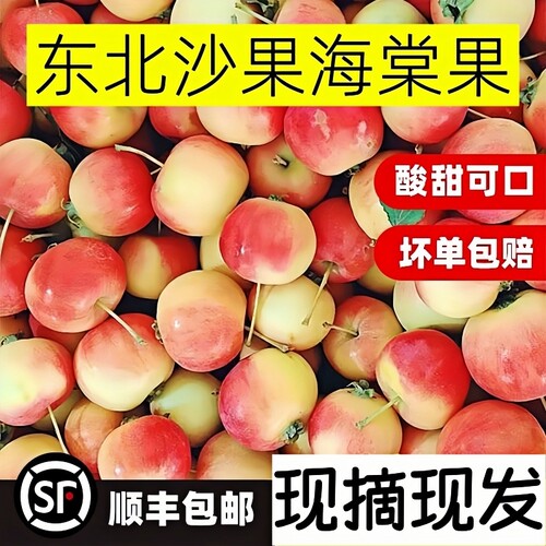 东北特产沙果海棠果新鲜酸甜