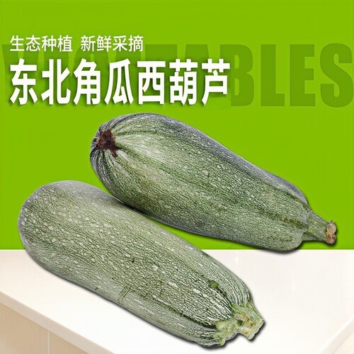 东北角瓜西葫芦新鲜蔬菜