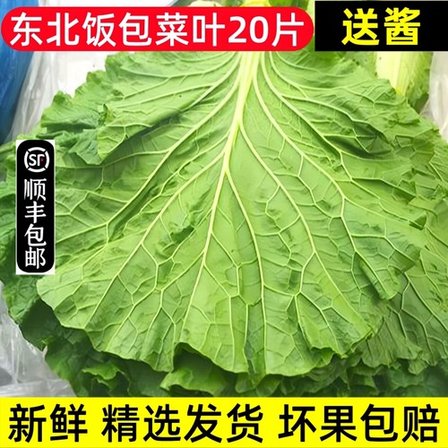 东北饭包叶新鲜菜叶蘸酱菜