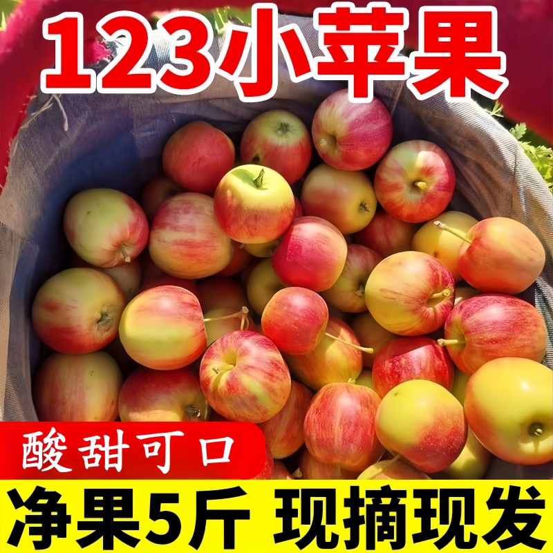 东北特产123小苹果新鲜采摘
