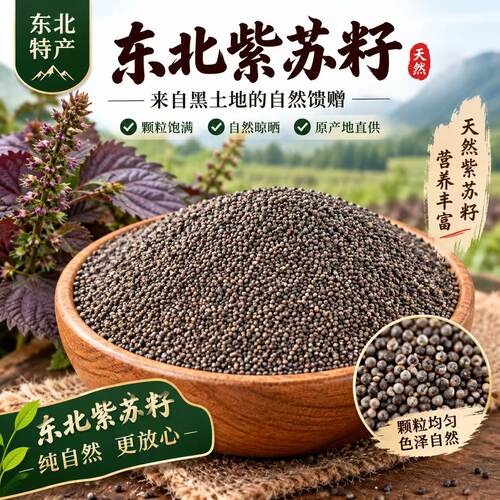 东北紫苏籽自然晾晒纯天然无公害