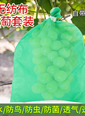 扎丝葡萄套袋绿色阳光玫瑰透气防鸟无纺布葡萄袋水果套袋
