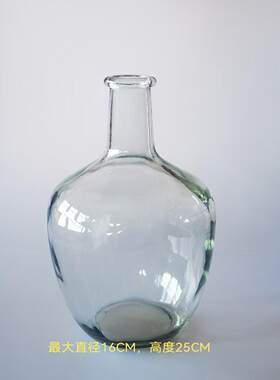 吊钟马醉木花瓶水养插花北欧美式小口大肚子透明玻璃 16*25CM尺寸