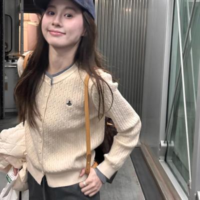 2024秋冬新款小众刺绣麻花针织衫