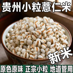 贵州兴仁小薏米仁新货小薏米新米小薏仁米糯薏苡仁正宗意米仁煮粥