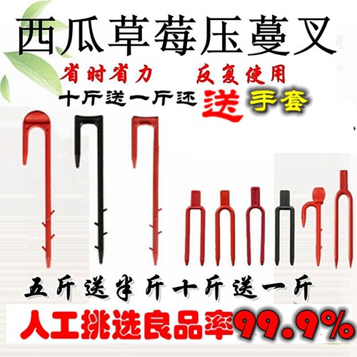 草莓叉子注塑西瓜压蔓器生根大棚