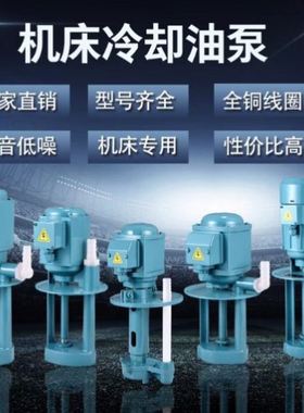 2018单三相油泵 DB ADB线切割水泵机床冷却泵铜线