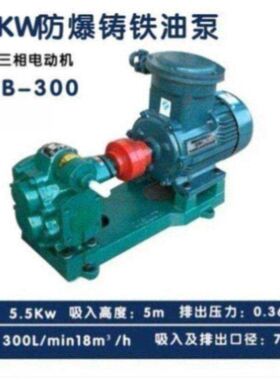 CB-B2.5.CB-B4TH.CB-B6FCB-B10THCB10SH低压齿轮油泵耐磨损耐高温