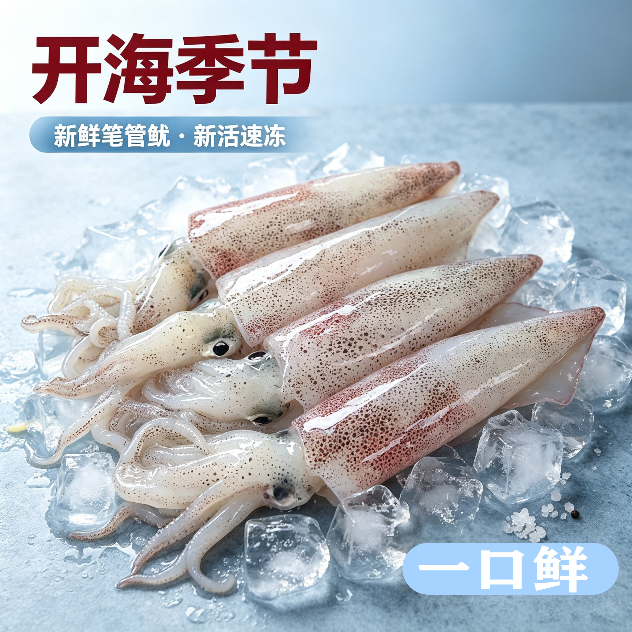 北海灯光小管鱿鱼一口鱿小海兔