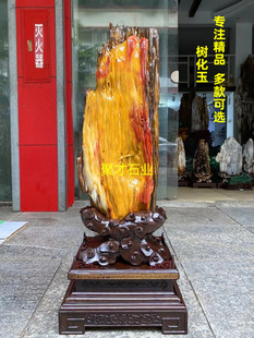 精品树化玉德佰老坑冰种料木化石天然奇石原石客厅案头桌面摆件