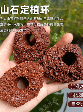 水草固定种植红色火山石水草定植环鱼缸造景装饰水草定植水草底座