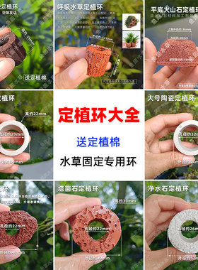 水草定植大全陶瓷定植环培菌石净水石火山石定植环大小号固定环