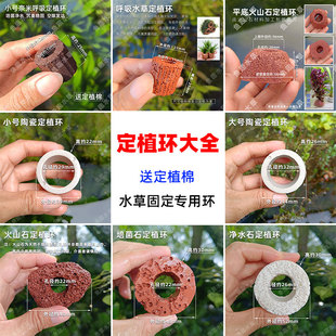 水草定植大全陶瓷定植环培菌石净水石火山石定植环大小号固定环