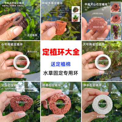 水草定植大全陶瓷定植环培菌石净水石火山石定植环大小号固定环