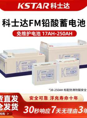 KSTAR科士达UPS电源6-FM-24 12V38AH 65 100AH免维护铅酸蓄电池