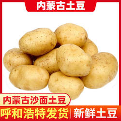 内蒙古乌兰察布土豆新鲜新土豆农家马铃薯黄皮黄心大土豆精选包邮
